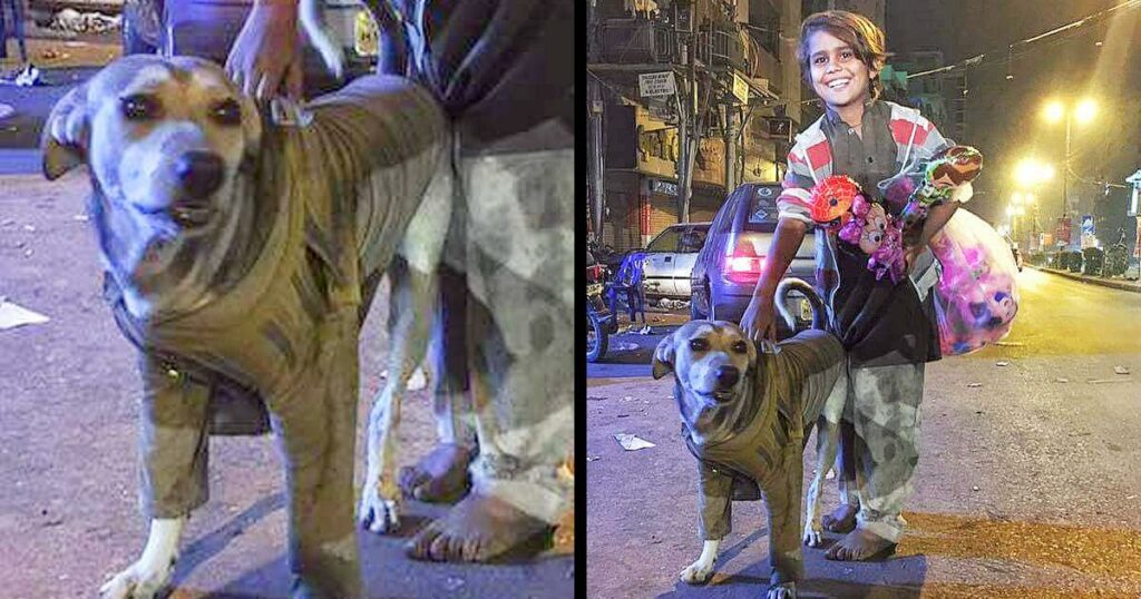 Homeless Boy Gives This Dog His Sweater To Keep Him Warm