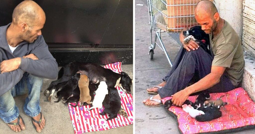 He Sold Everything He Could To Save His Dog And Seven Puppies, And The Story Went Viral.