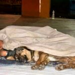 Homeless boy who survives alone on the street with the warmth of his dog, shocks the world