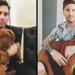 Hulk, the dog that Messi received as a gift from his wife Antonela, is the most pampered of the family