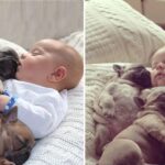 Adorable moments: Together taking care of a precious boy while his mother is away…