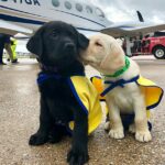 Let’s celebrate our amazing volunteer pilots and their cute canine companions who help train assistance dogs at Canine Companions for Independence!