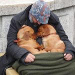 These Dogs Remain By The Side Of This Homeless Man And Adore Him Endlessly