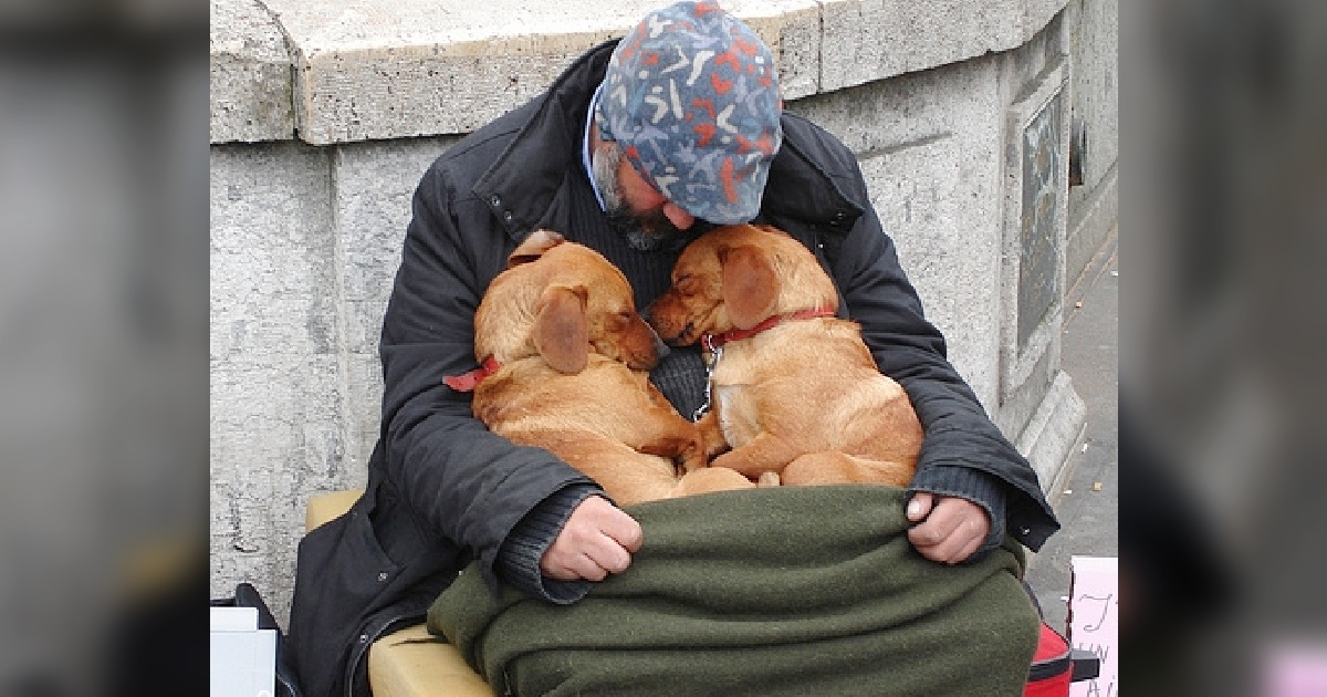 These Dogs Remain By The Side Of This Homeless Man And Adore Him Endlessly