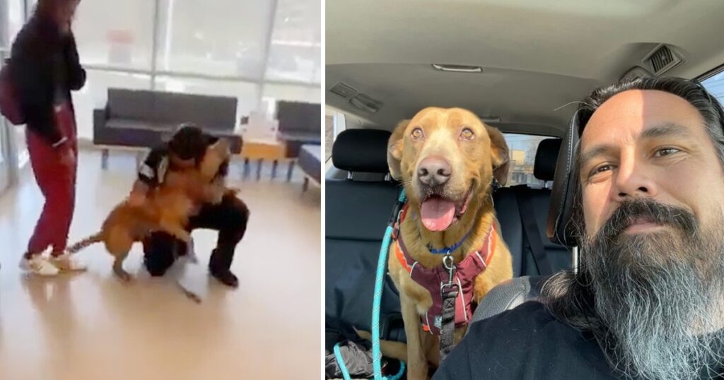 Man Who Swore He’d Never Stop Looking For His Lost Dog Finally Finds Him After 4 Years