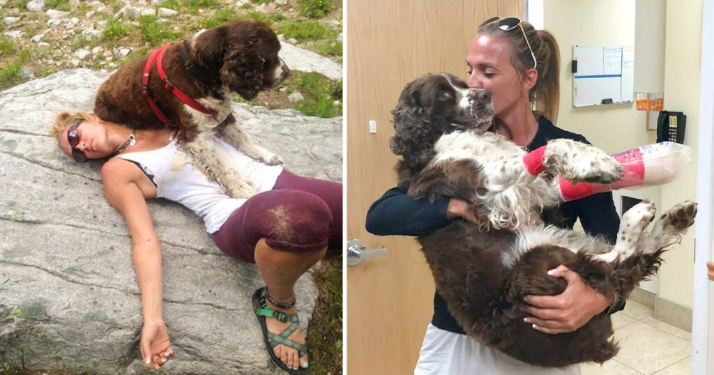 Compassionate Woman Rescues Injured Dog from Mountain, Embarks on a 7-Mile Journey to Seek Aid