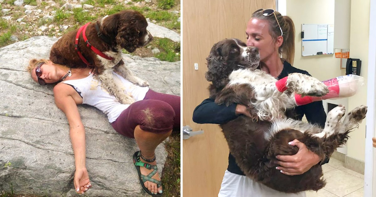 Compassionate Woman Rescues Injured Dog from Mountain, Embarks on a 7-Mile Journey to Seek Aid