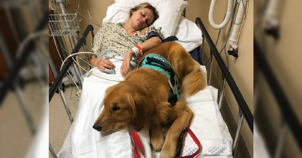 The dog remains faithfully by his “mother’s” side, diligently caring for her until she recovers, a testament to their profound bond and abundant love