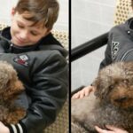 Little Boy Visits Shelter And Adopts The Oldest Dog There