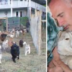 Man constructs a 4-acre fenced area for his 45 rescued dogs to play and run.