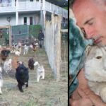 Man Builds 4-Acre Enclosure For His 45 Rescued Dogs So They Can Run Free