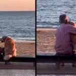 Man hugs his Golden Retriever dog on the beach and enjoy a sunset together