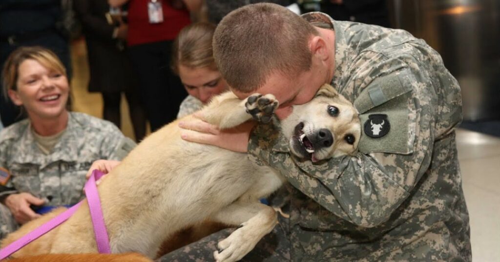 Old dog cries tears of joy at owner’s return from war.