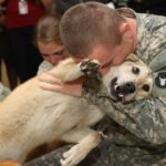 Old dog cries tears of joy at owner’s return from war.