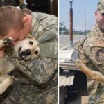 Old dog cries tears of joy at owner’s return from war