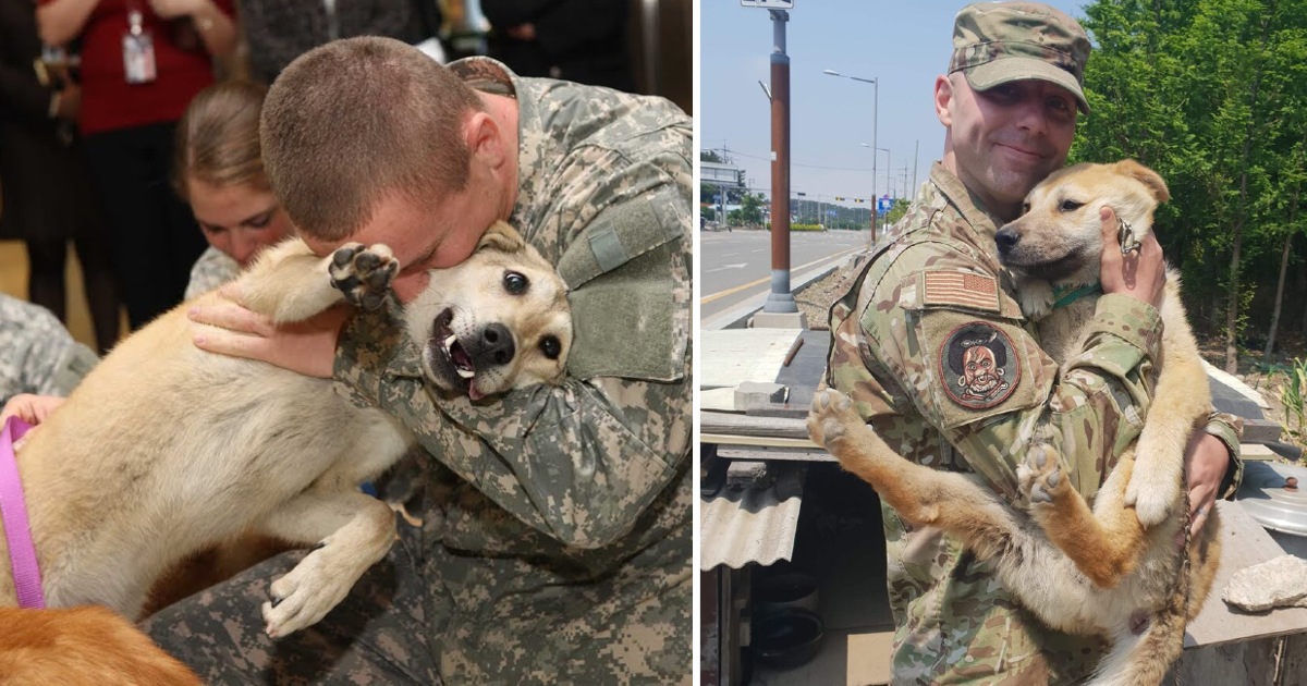 Old dog cries tears of joy at owner’s return from war