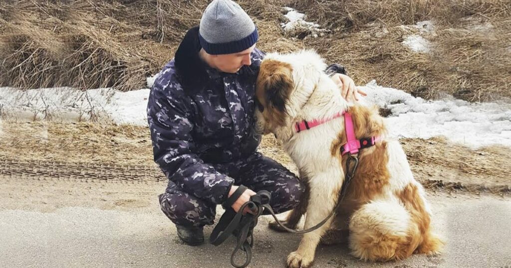 Abandoned And Unaware: The Cancer-Stricken Dog Left Waiting Outside By Its Owner