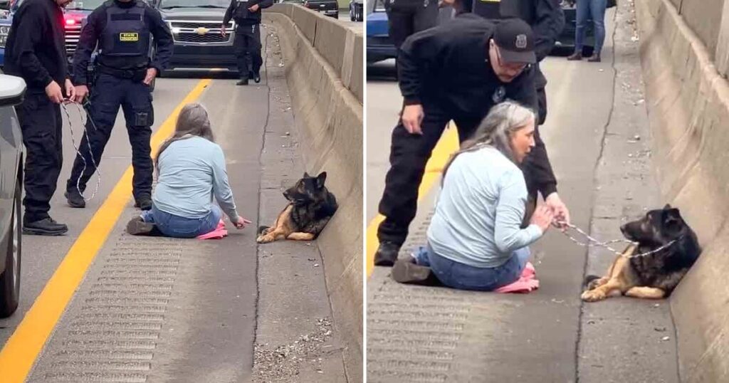 Woman Did Not Hesitate To Stop Highway Traffic To Rescue Run Over Puppy. She Saved His Life