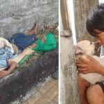 A Touching Story! After Being Abandoned By His Parents, The Boy Found Love In The Dog’s Arms