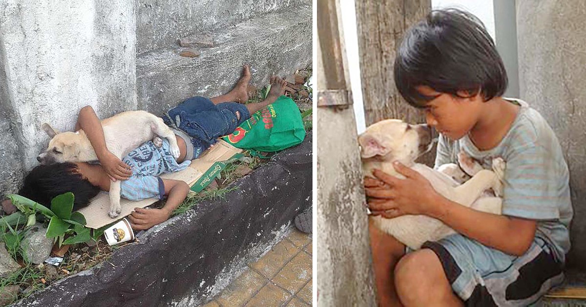 A Touching Story! After Being Abandoned By His Parents, The Boy Found Love In The Dog’s Arms