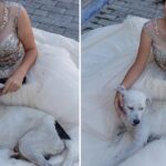 Homeless Puppy Interrupts 15-year-old Photo Session And Takes Center Stage