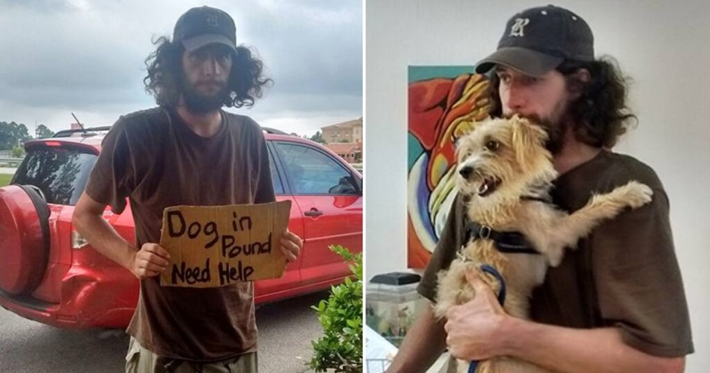 Homeless Man Stands Outside Walmart Pleading For Help For His Dog And Woman Came To His Rescue