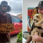 Homeless Man Stands Outside Walmart Pleading For Help For His Dog And Woman Came To His Rescue