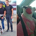 They prefer to sell everything before abandoning their dog when they move to Switzerland, they rented her a small plane