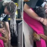 Shelter dog clung to girl’s leg to ‘beg’ to be adopted. he was desperate