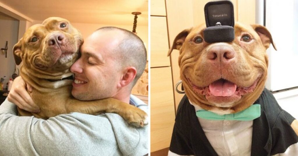 Rescue Dog Can’t Stop Smiling After Being Saved, Helps Couple Find Love