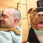 Rescue Dog Can’t Stop Smiling After Being Saved, Helps Couple Find Love