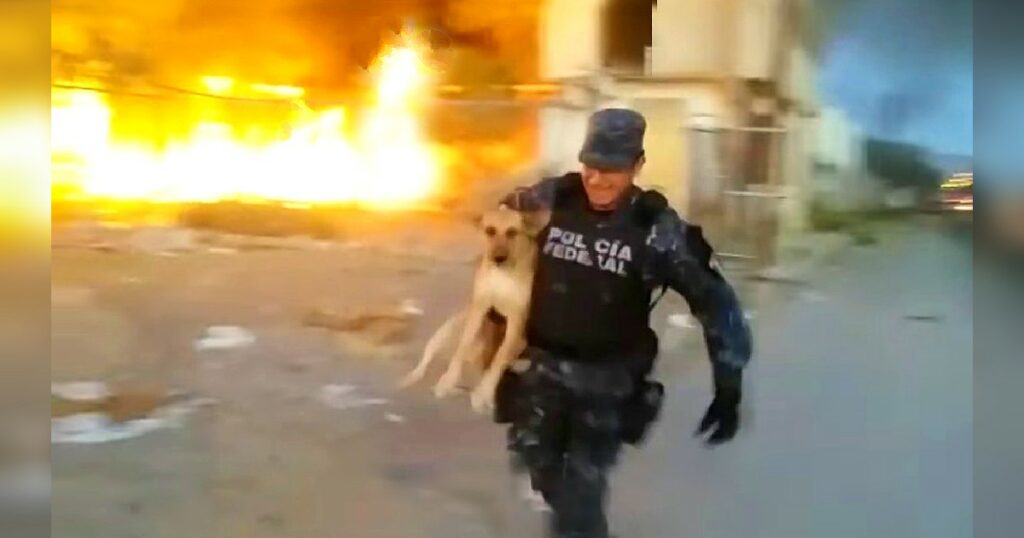 A Brave Police Officer Risked His Life In The Face Of Flames To Rescue A Chained Dog From A Fire