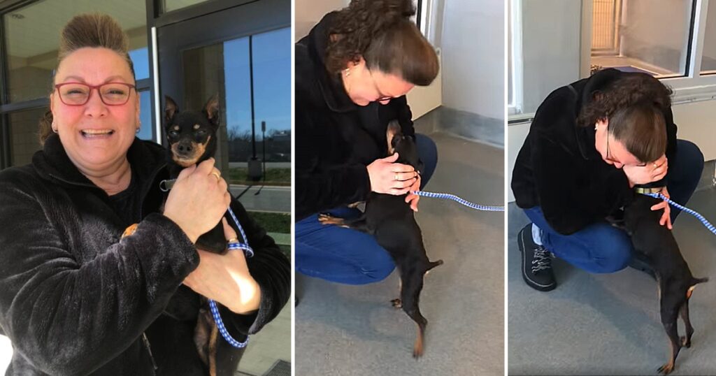 7 Years Later, Missing Dog Reunited With Owner At Virginia Animal Shelter.