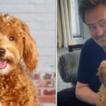 Lisa Kudrow considering adopting Matthew Perry’s dog after “Friends” co-star’s death