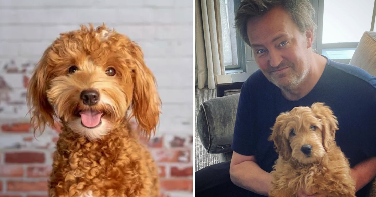 Lisa Kudrow considering adopting Matthew Perry’s dog after “Friends” co-star’s death