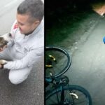 Stray Dog Saves Injured Cyclist Stranded In The Mountains