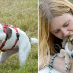 A Puppy Born With Deformed Front Paws Astoundingly Gets Around Like A T-Rex.