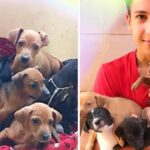 Teenager Opens A Unique Animal Shelter And Has Already Rescued 26 Animals