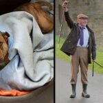 ‘The World’s Loneliest Dog’ Becomes A Movie Star Along With Sir Anthony Hopkins