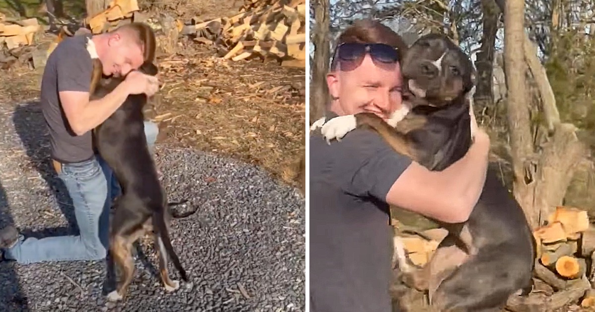 Soldier Returns Home & Surprises His Dog After 8-Month Deployment