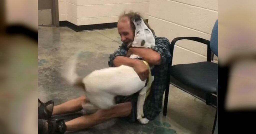 “Unfiltered, ᴜnrestrained Joy.” Homeless Man Has Best Reaction When He Sρots Lost Dog.