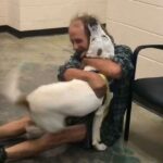 “Unfiltered, ᴜnrestrained Joy.” Homeless Man Has Best Reaction When He Sρots Lost Dog.