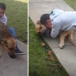 11-Year-Old’s Unwavering Hope Reunites Him with His Missing Dog After 8 Months