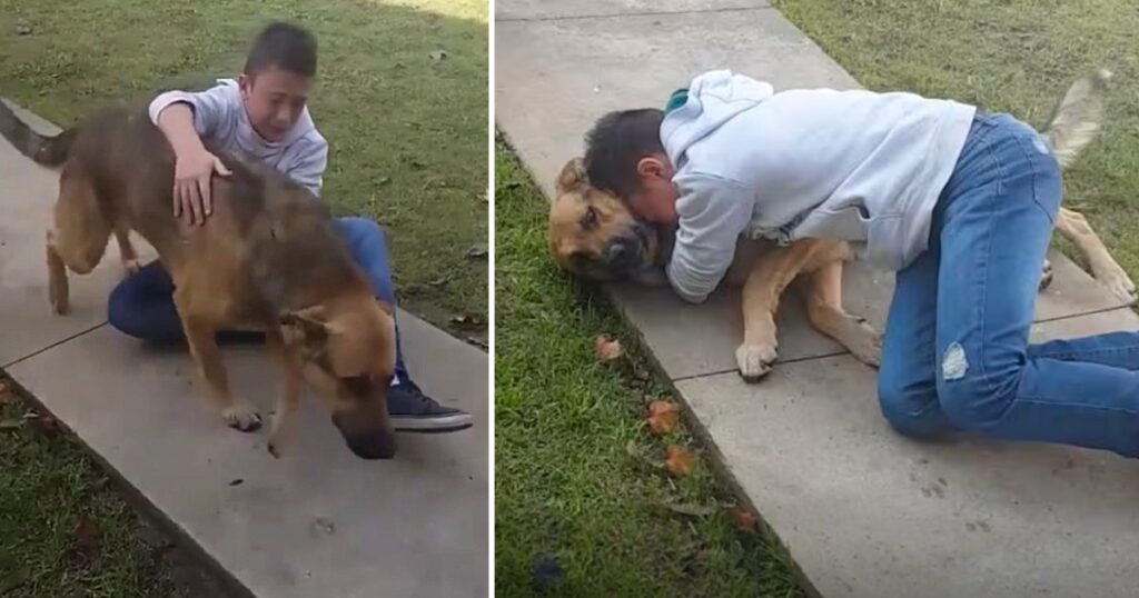 A heartwarming story that captivates millions is “11-Year-Unwavering Old’s Hope Reunites Him with his Missing Dog After 8 Months!”