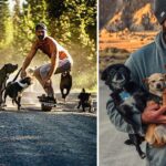 This Man Quits His Job To Travel The Country And Save Dogs From Shelters