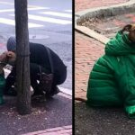 Woman Sees Dog Shivering In Cold Outside, Gives Her Own Coat To Keep Him Warm