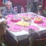 Dogs Throw The Most Adorable Party For Grandma’s 89th Birthday