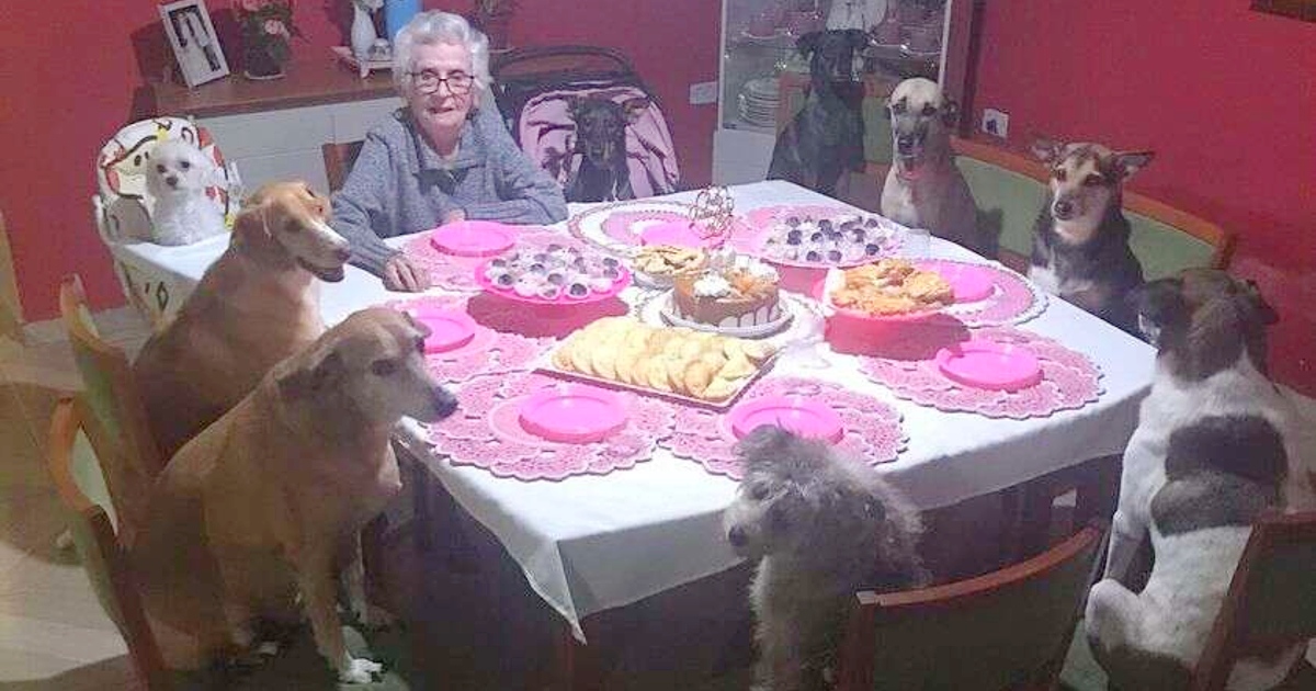 Dogs Throw The Most Adorable Party For Grandma’s 89th Birthday