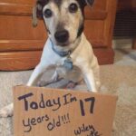 “Today, I turn 17, and I’m eagerly awaiting your heartfelt wishes.”