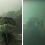 Diver Has an Astonishing Face-to-Face Encounter with a Giant Anaconda